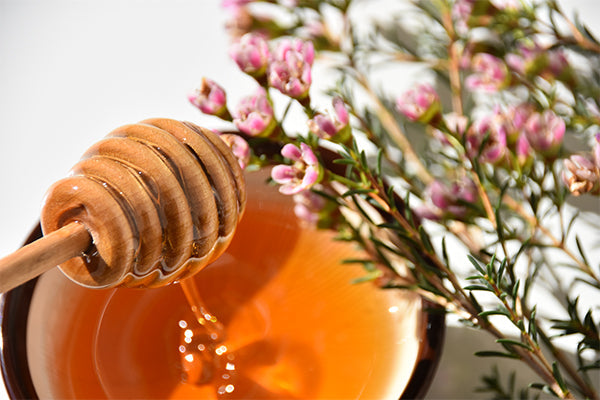 Ces 7 bienfaits du miel de manuka sur la santé