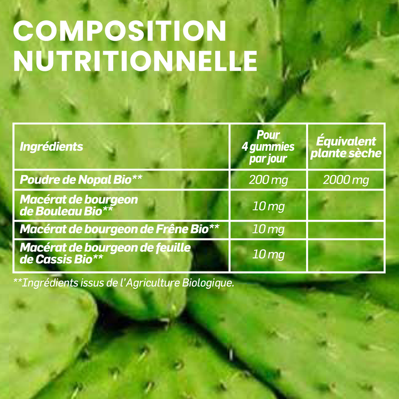 Cassis : calories et composition nutritionnelle